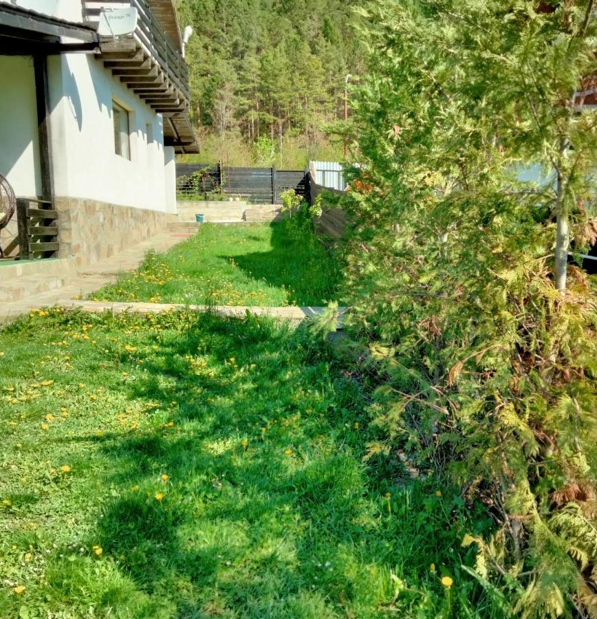 Vila Roxana Pangarati Dış mekan fotoğraf