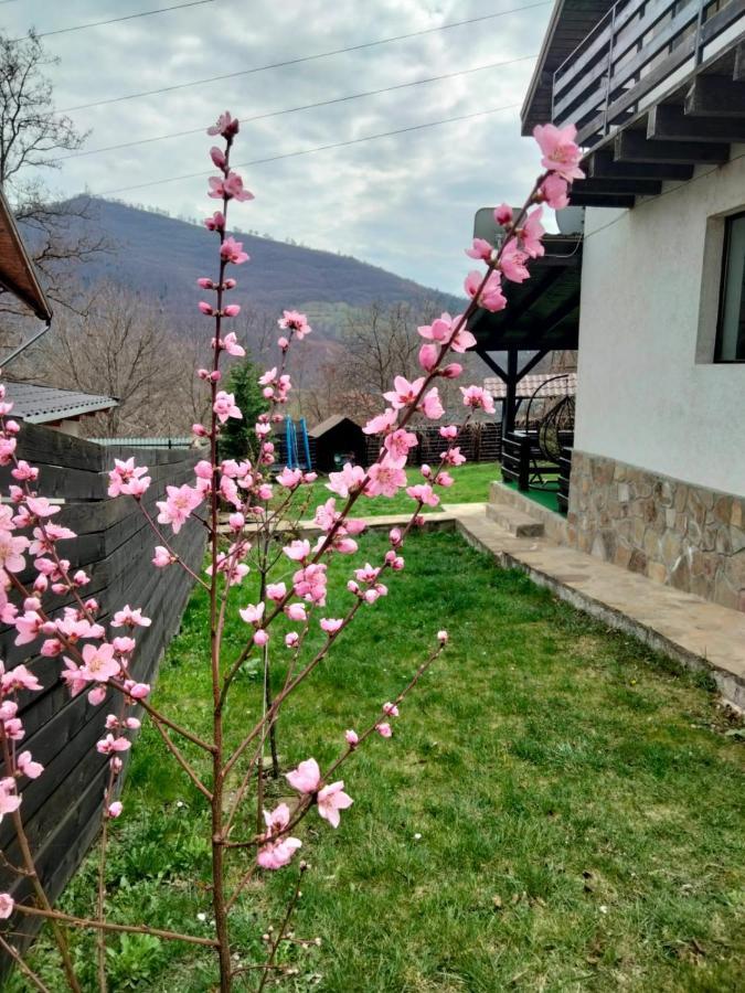 Vila Roxana Pangarati Dış mekan fotoğraf